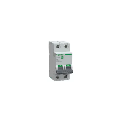 SCHNEIDER EASY9 PRO Kismegszakító 6kA, 2P, C, 4A - EZ9F57204