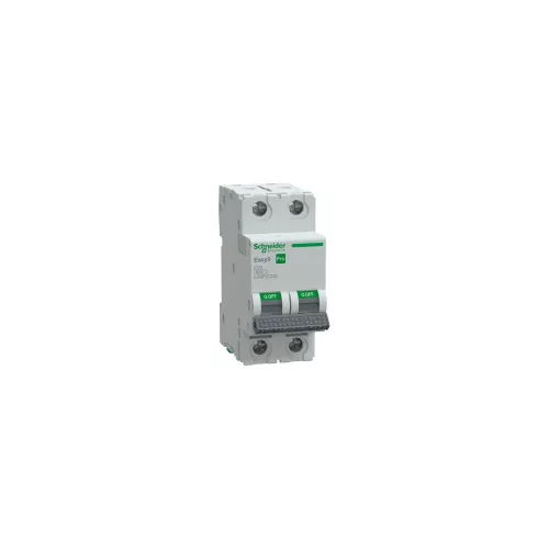 SCHNEIDER EASY9 PRO Kismegszakító 6kA, 2P, C, 25A - EZ9F57225