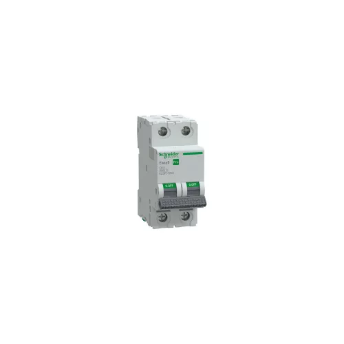 SCHNEIDER EASY9 PRO Kismegszakító 6kA, 2P, C, 63A - EZ9F57263
